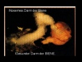Bb 2 darmtrakt der biene000.jpg