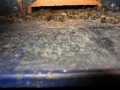 IMG 1159 1 293X220.jpg