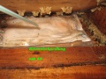 IMG 2597 2 1 1.jpg