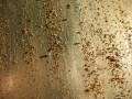 IMG 3211 2 Kleine Webansicht.jpg