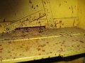 IMG 1255 293X220.jpg