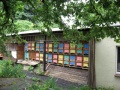Kloß friederich 1 1.jpg