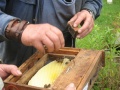 IMG 2251.JPG