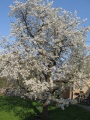 IMG 1883 1 1.JPG